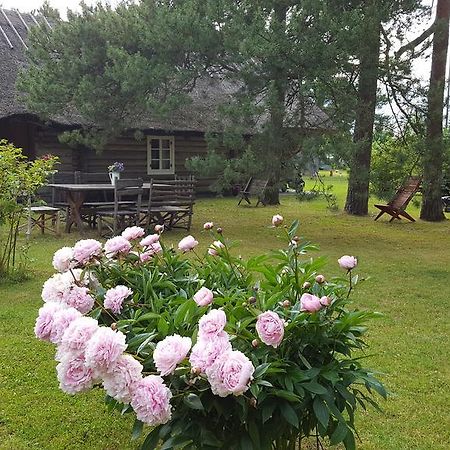 Maenni Summerhouse Kassari Экстерьер фото